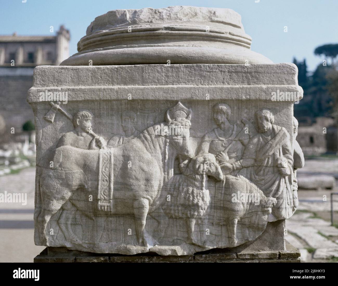 Italie, Rome. Monument à cinq colonnes. 4th Century AD. Base de Decennalia. Suovetaurilia relief (côté ouest) représentant un sacrifice animal traditionnel aux dieux d'un sanglier, d'un bélier et d'un taureau. Forum romain. Banque D'Images