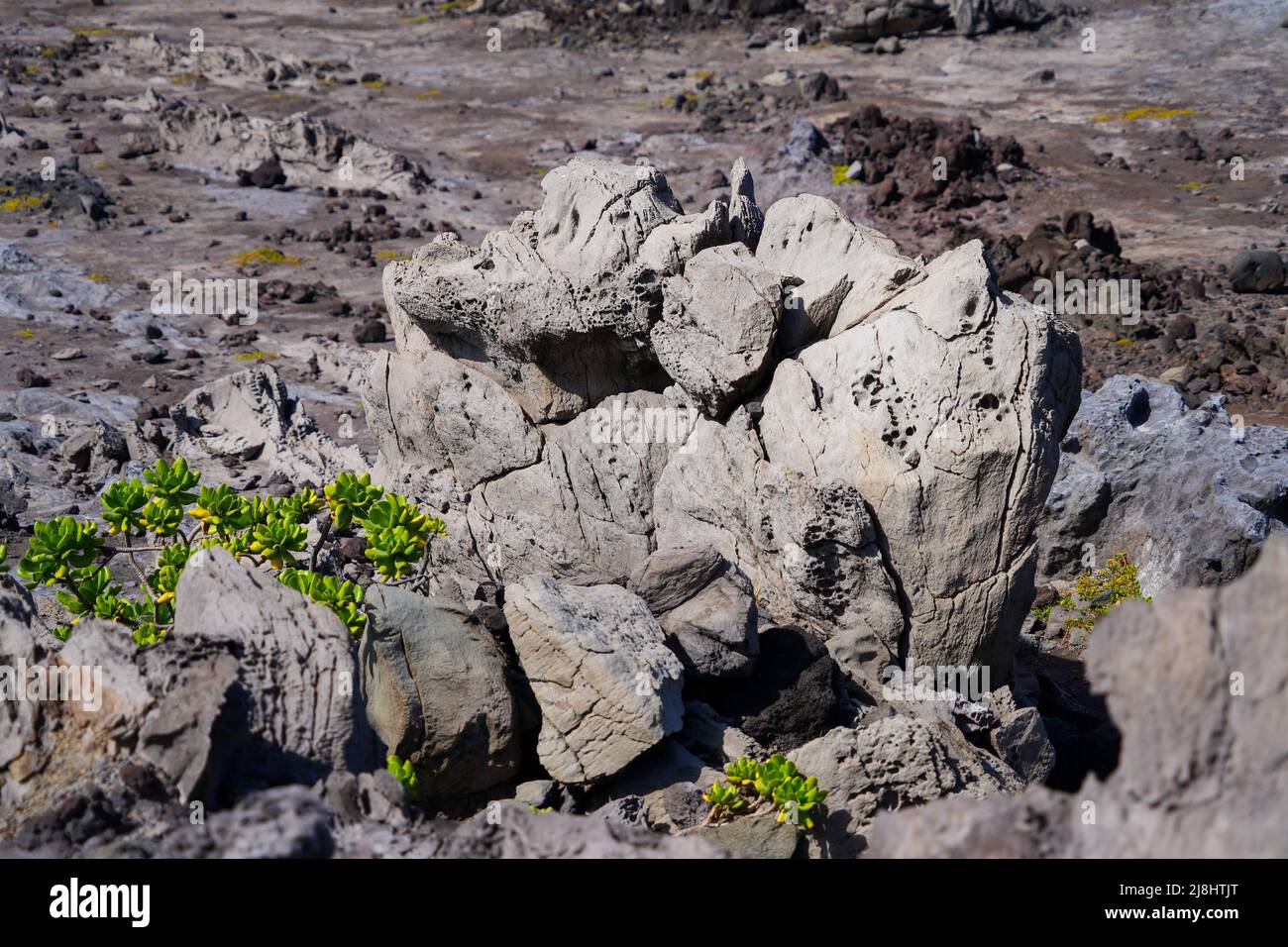 Sculpture naturelle de roche volcanique sur Hawea point le long de la piste côtière de Kapalua à l'ouest de l'île de Maui, Hawaï Banque D'Images