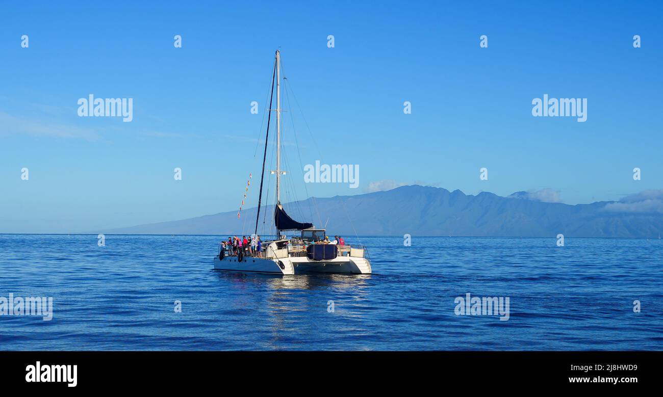 Catamaran dans l'océan Pacifique entre Maui et les îles Lanai sur l'archipel hawaïen - croisière tranquille pour observer les baleines en hiver à P Banque D'Images