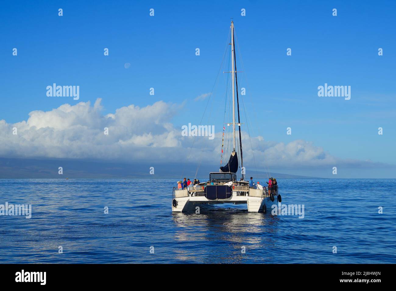 Catamaran dans l'océan Pacifique entre Maui et les îles Lanai sur l'archipel hawaïen - croisière tranquille pour observer les baleines en hiver à P Banque D'Images