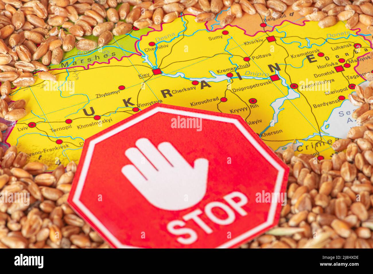 Céréales de blé sur la carte de l'Ukraine avec un signal d'arrêt, crise des céréales en Ukraine, concept de crise mondiale de la faim due à la guerre Banque D'Images