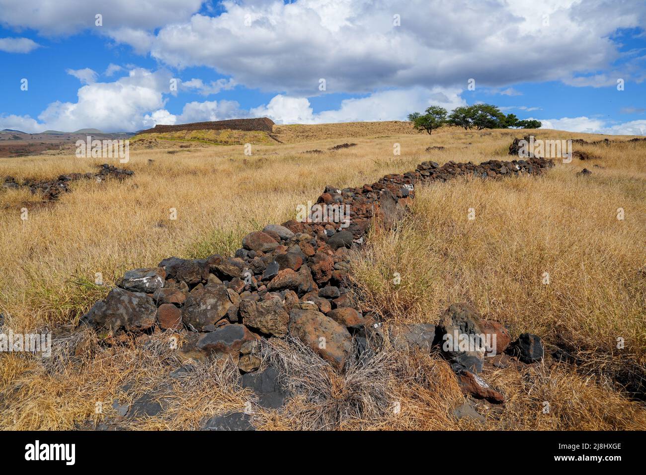 Vestiges d'un ancien mur dans ce qui était un village dans le lieu historique national de pu'ukohola Heiau sur la grande île de Hawai'i dans l'océan Pacifique Banque D'Images