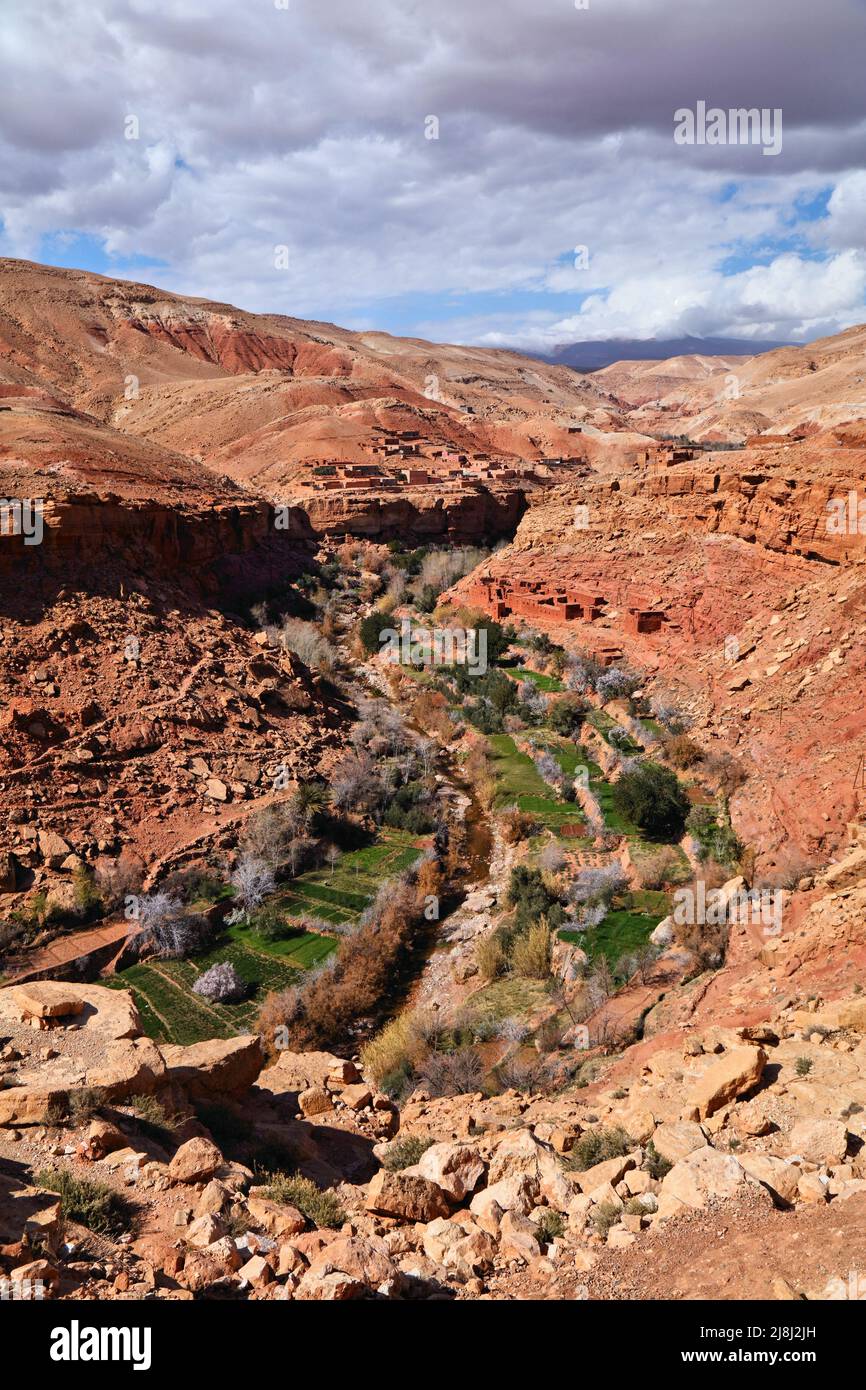 Paysage marocain. Asif Ounila gorge de la rivière avec des vergers d'amandiers en fleurs près d'ait Benhaddou. Banque D'Images