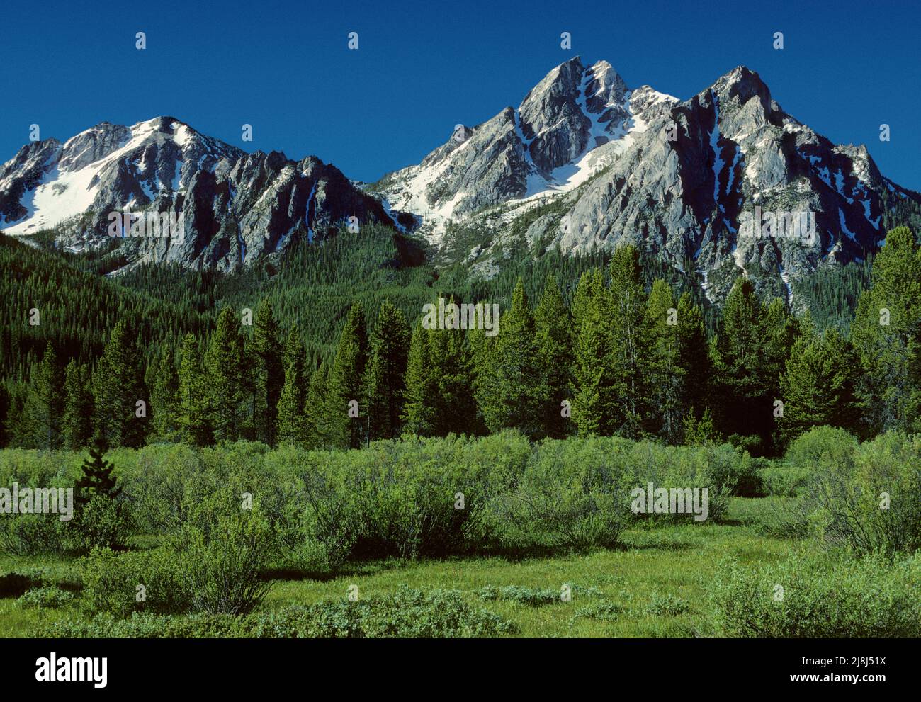 McGown Peak, Sawtooth National Forest, Idaho, États-Unis Banque D'Images