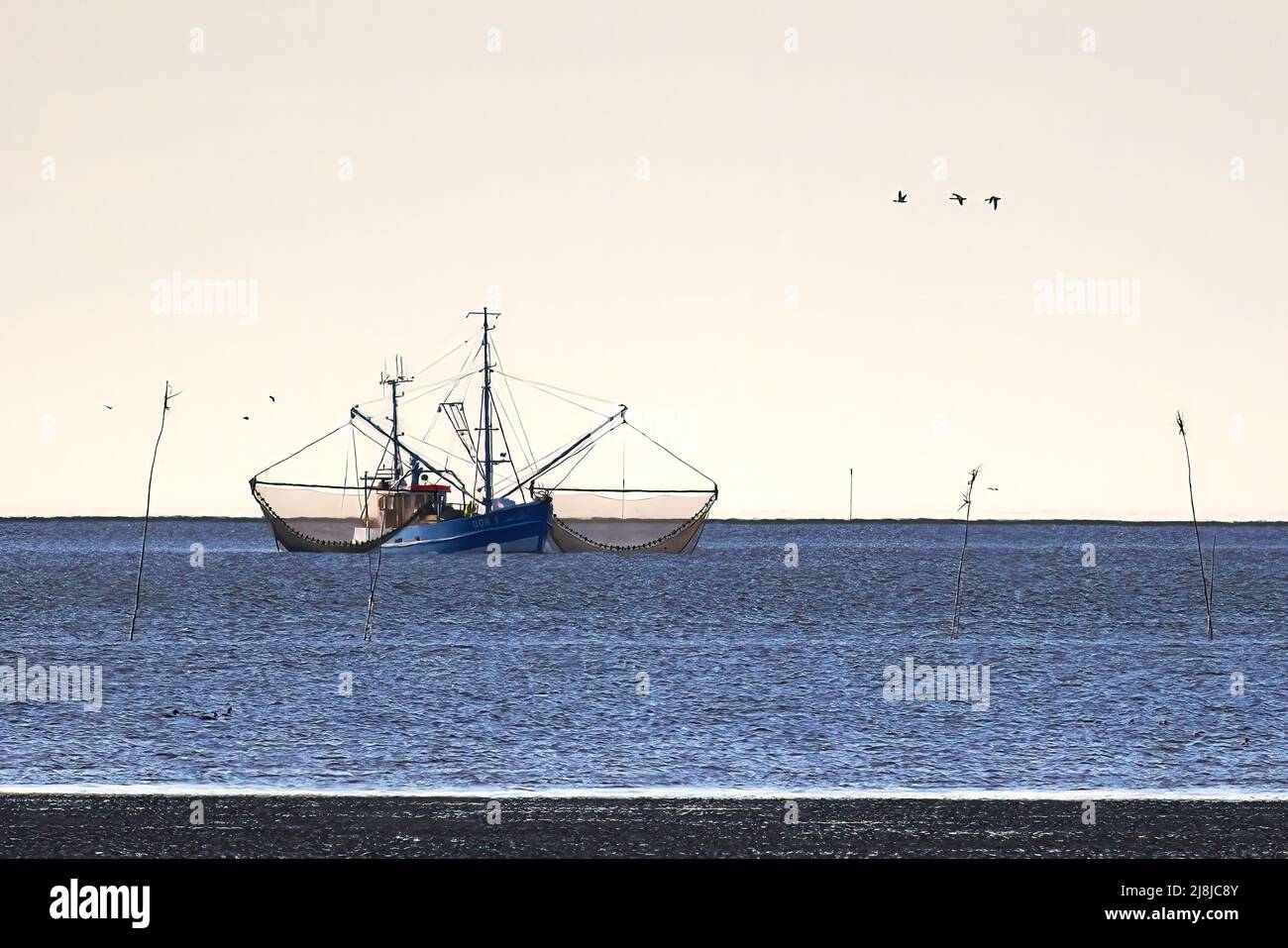 chalutier sur la mer du nord Banque D'Images