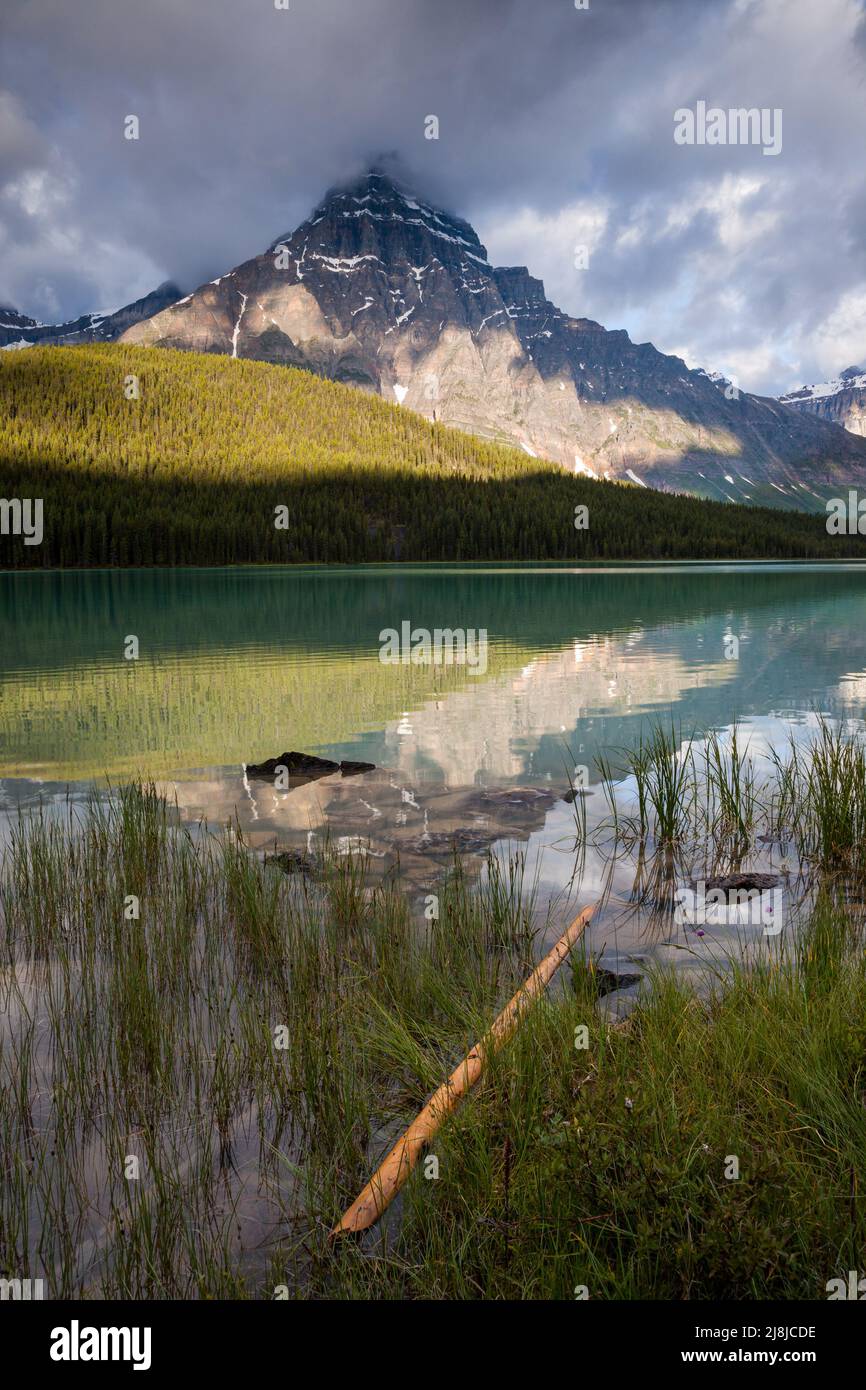 Lumière du matin sur le mont Chephren dans le parc national Banff, Alberta, Canada Banque D'Images