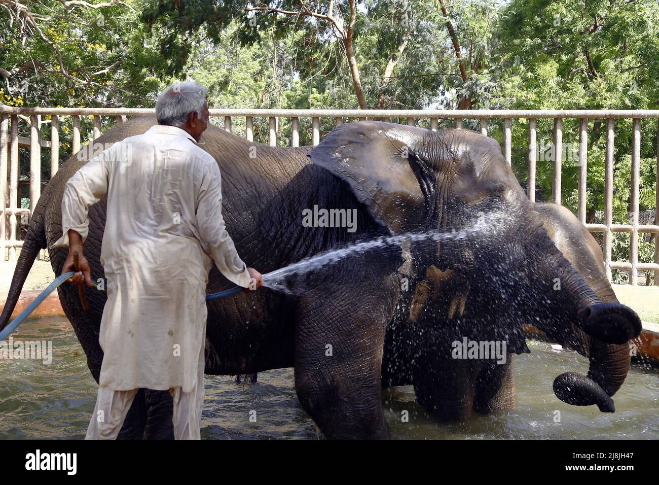 Karachi. 16th mai 2022. Un employé verse de l'eau sur un éléphant dans un zoo lors d'une vague de chaleur dans la ville portuaire de Karachi, dans le sud du Pakistan, le 16 mai 2022. Le Premier ministre pakistanais Shahbaz Sharif a constitué lundi une équipe spéciale chargée de traiter la question pressante du changement climatique dans le pays, a déclaré le Bureau du Premier ministre. La décision a été prise lors d'une réunion de haut niveau dans le contexte de la récente vague de chaleur et des conséquences directes du changement climatique au Pakistan, a déclaré le Bureau dans une déclaration. Credit: STR/Xinhua/Alay Live News Banque D'Images