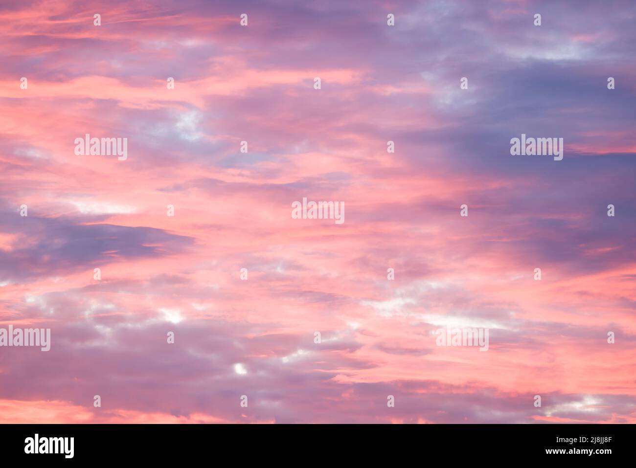 Ciel rouge spectaculaire au coucher du soleil avec nuages de tempête roses et bleus. Motif, texture ou arrière-plan de SkyScape, Royaume-Uni Banque D'Images