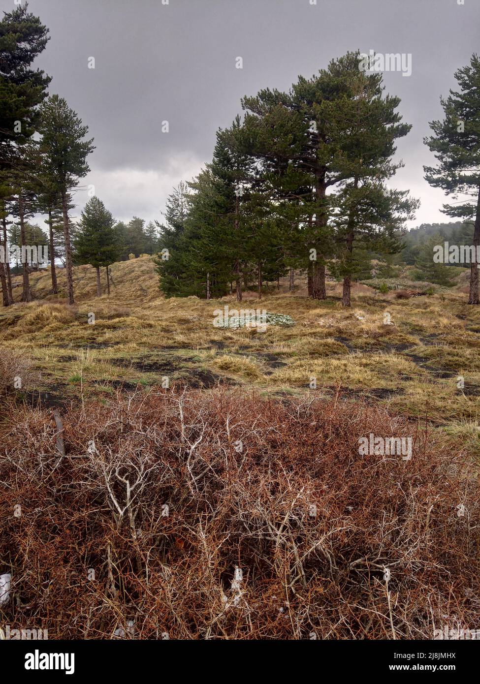 Paysage sombre avec un temps sombre sur l'Etna avec ciel couvert Banque D'Images