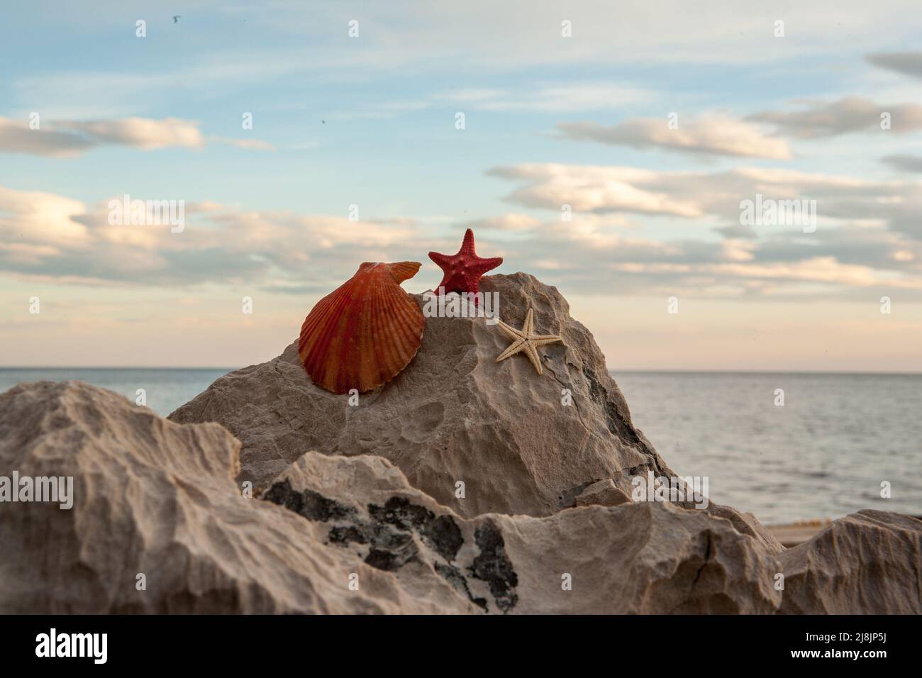 Starfish et la grande coquille est sur la roche de sable sur la plage. Un support avec des étoiles de mer exotiques pour le marquage, calendrier, carte postale, économiseur d'écran, papier peint Banque D'Images