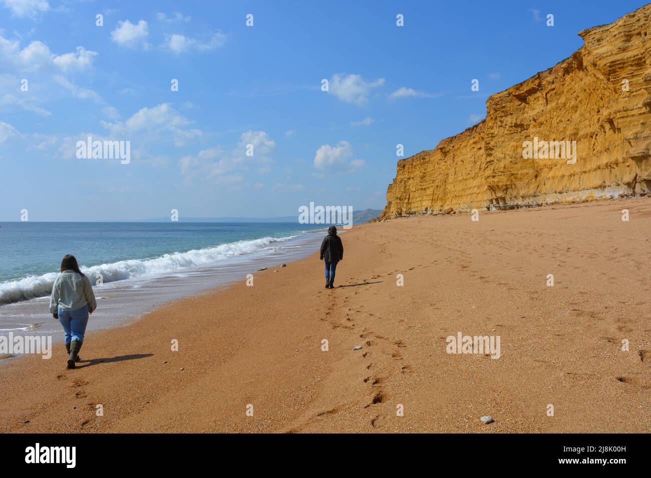 Deux femmes de derrière marchent sur la mer sous les falaises de Hive Beach, Dorset, Angleterre Banque D'Images