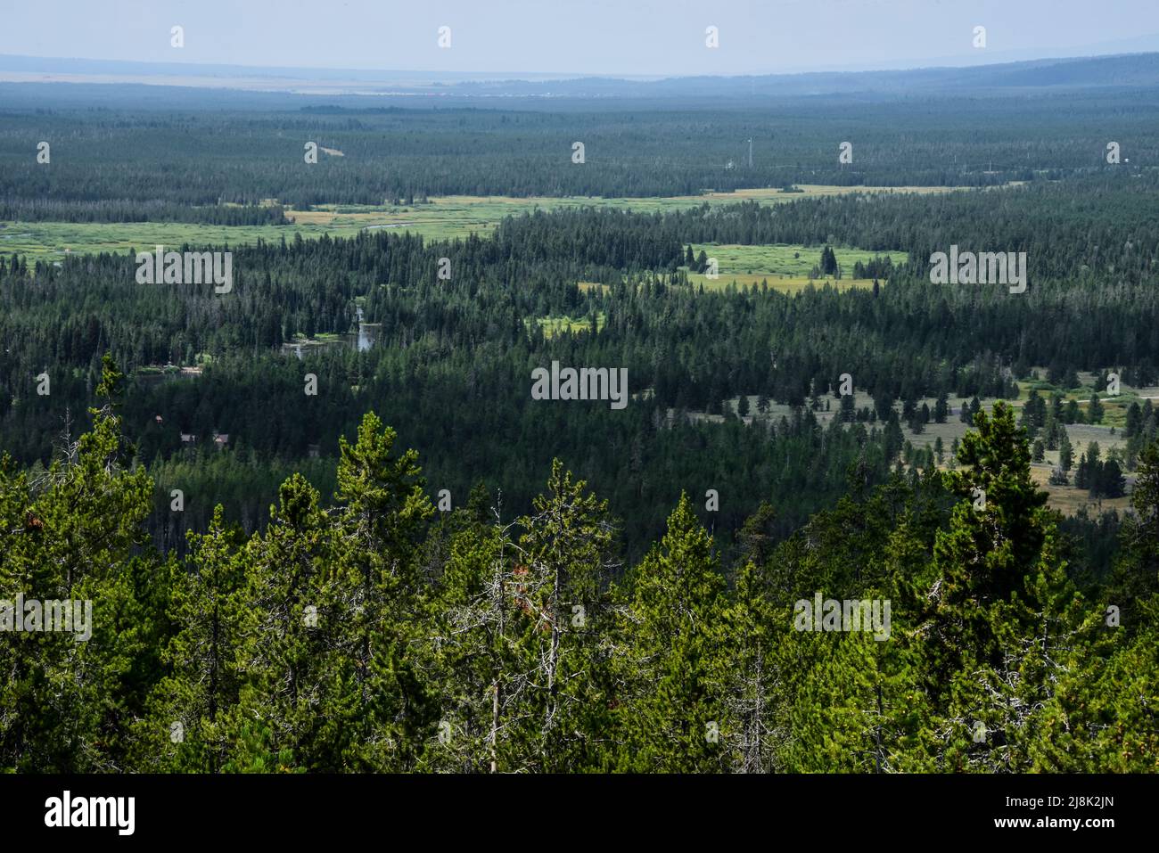 Vue depuis la tour historique d'observation des incendies de Big Springs, Island Park, Fremont County, Idaho, États-Unis Banque D'Images