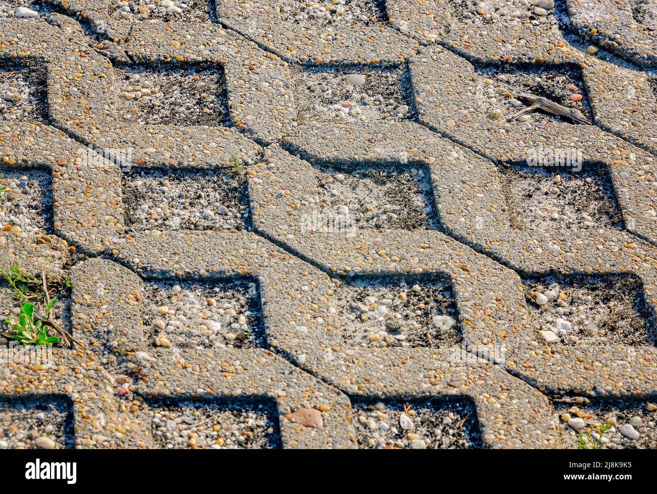 Un parking perméable offre une alternative écologique au pavage traditionnel au Dauphin Island Sea Lab, le 28 avril 2022, à Dauphin Island, en Alabama. Banque D'Images