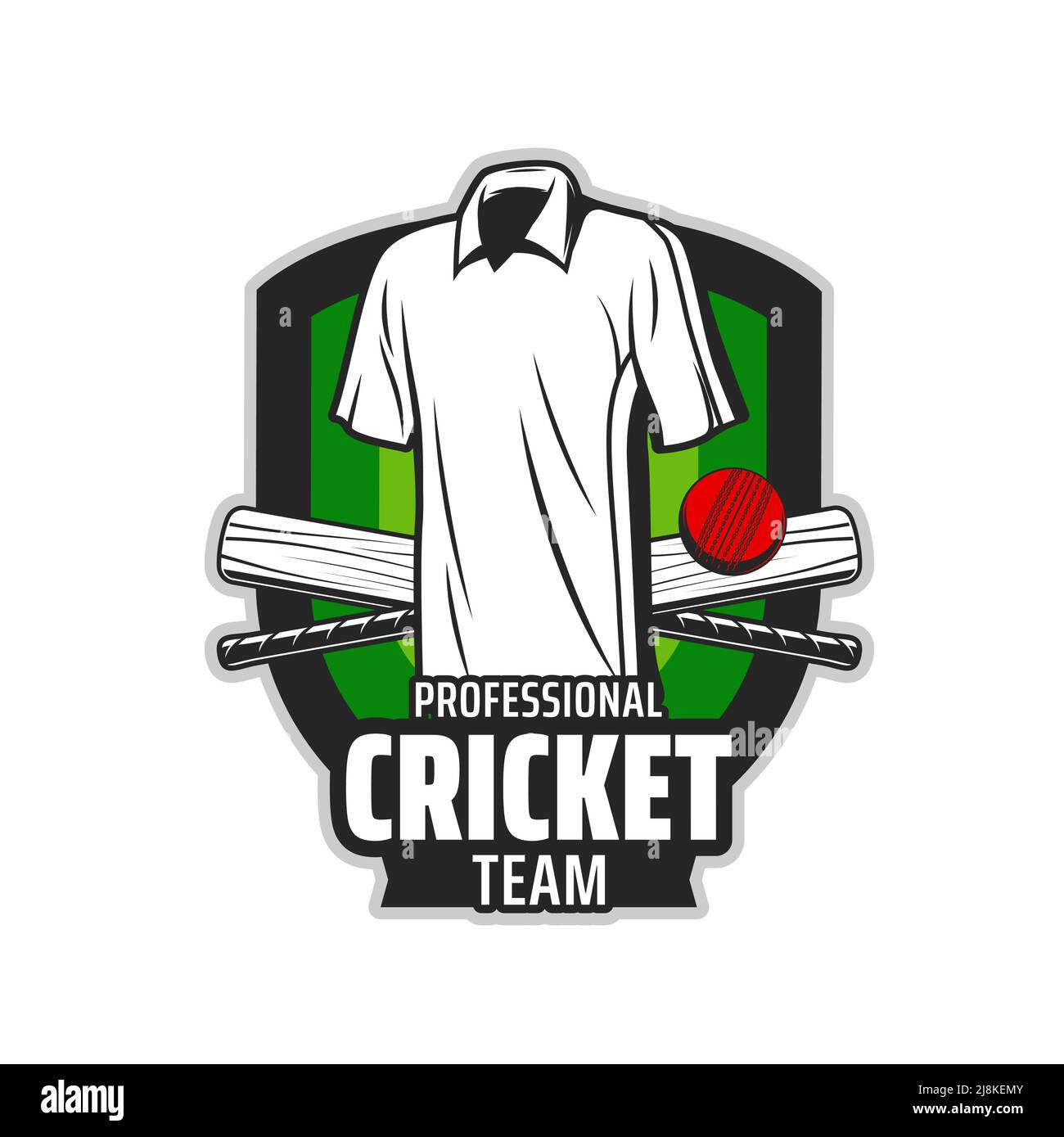 Icône d'articles de sport de cricket, emblème de vecteur de tournoi ou de club d'équipe. Chevron de l'écusson du championnat de cricket avec équipement de joueur de cricket, maillot, ballon et battes croisées sur terrain vert Illustration de Vecteur