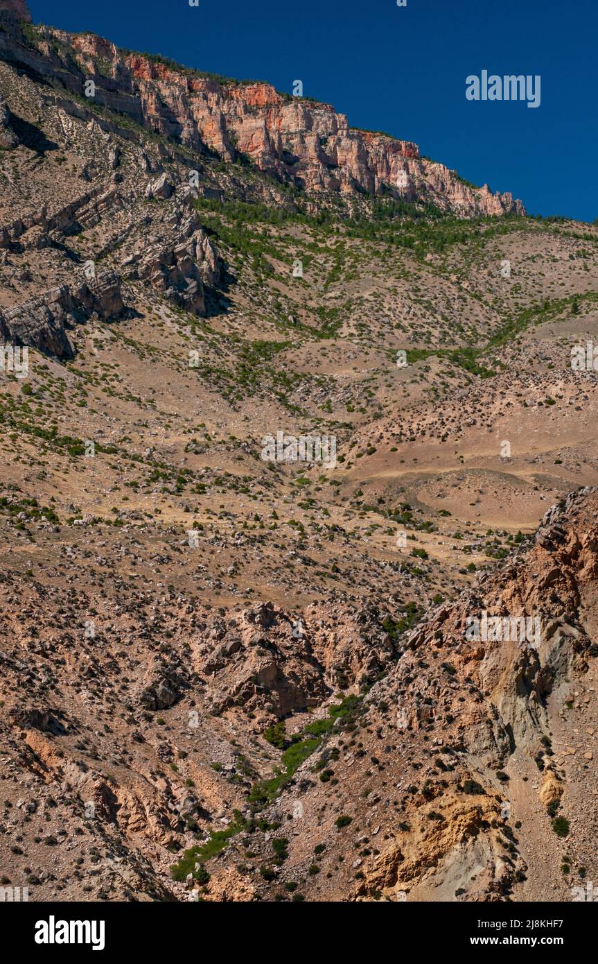 Bighorn National Forest dans le Wyoming, USA Banque D'Images