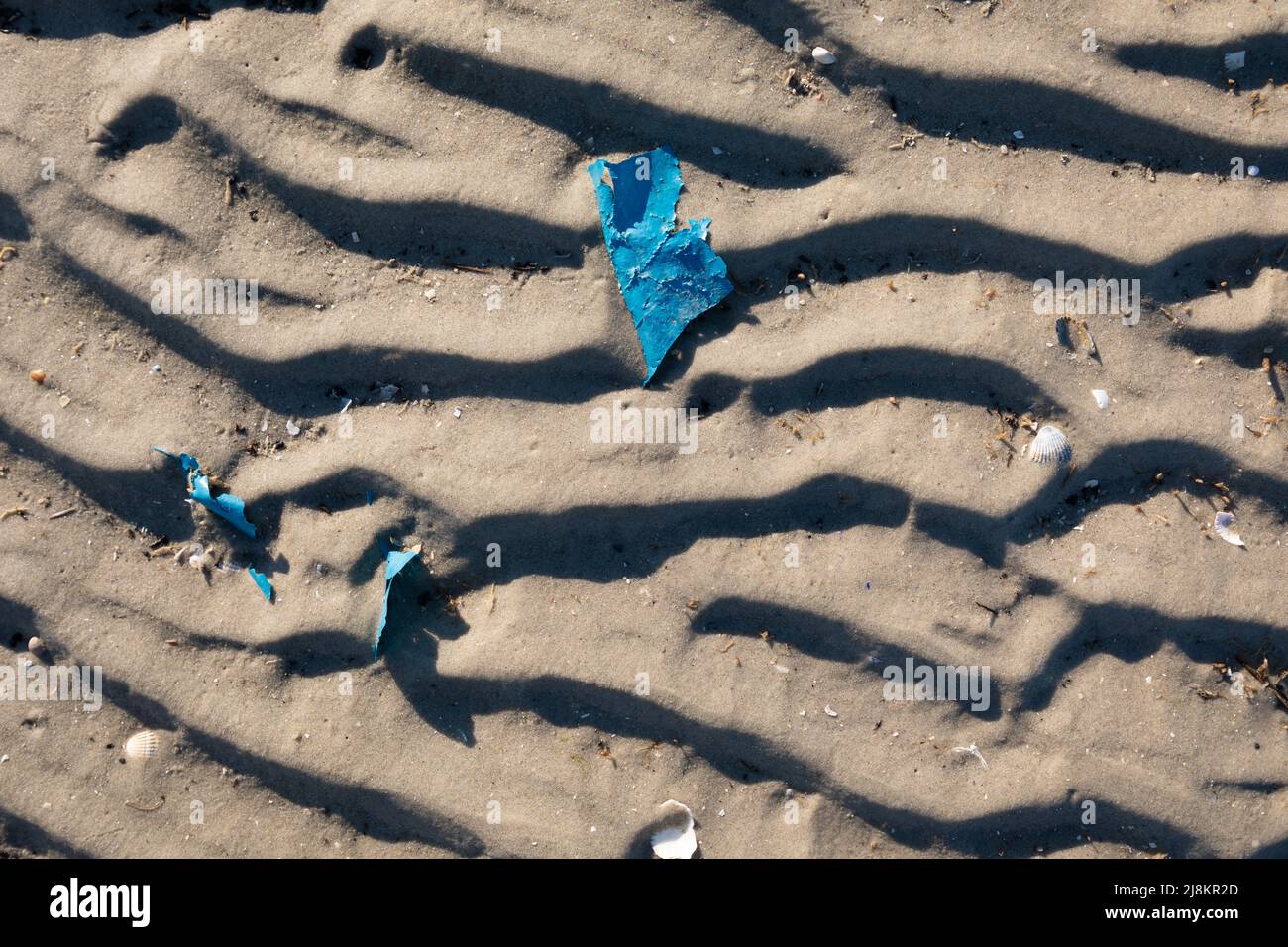 Déchets plastiques sur la plage de l'île allemande de Spiekeroorg. Banque D'Images