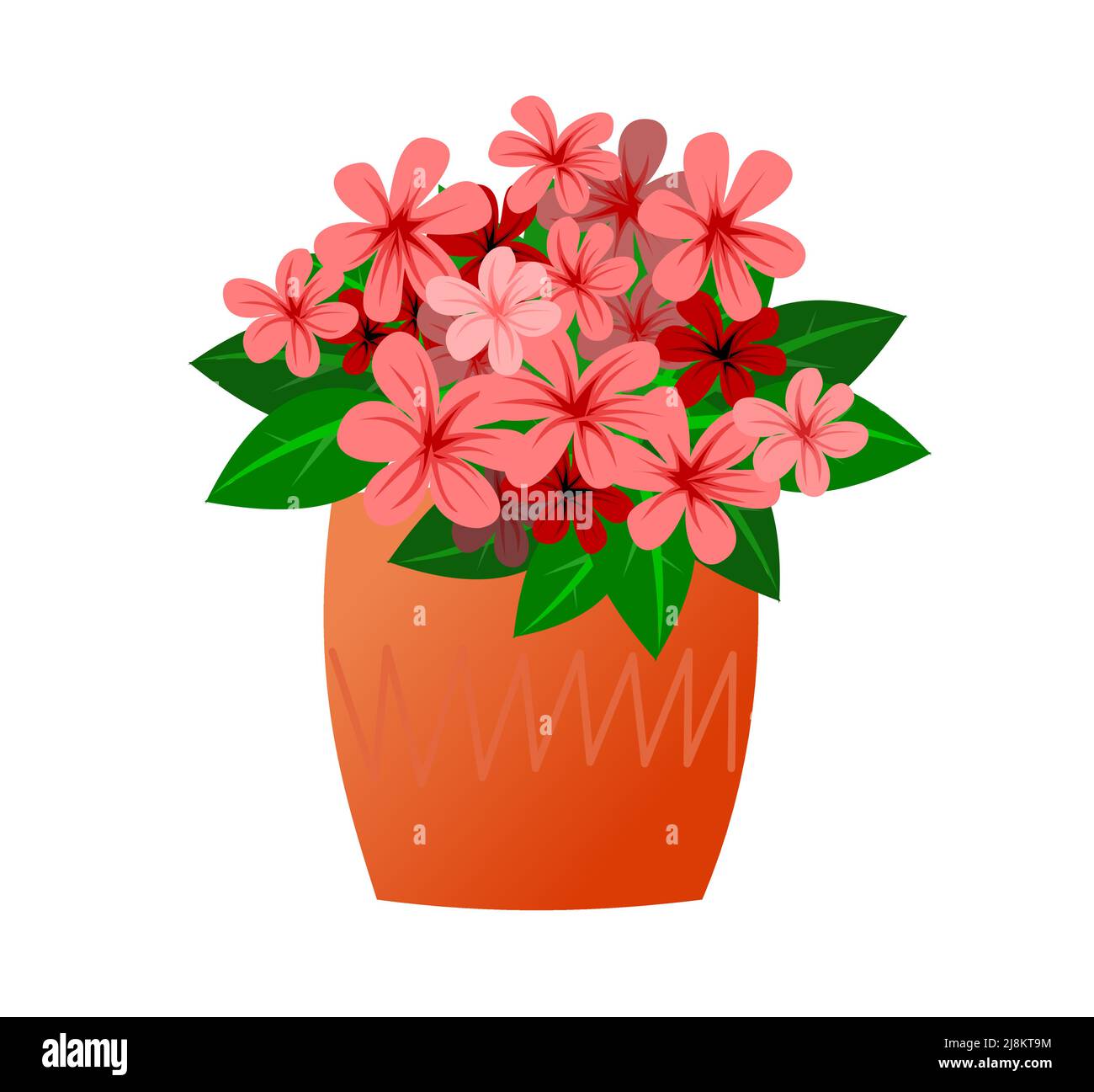 Floraison plantes et fleurs intérieures. Dans des pots en céramique. De belles herbes maison. Isolé sur fond blanc. Style de dessin animé amusant. Vecteur. Illustration de Vecteur