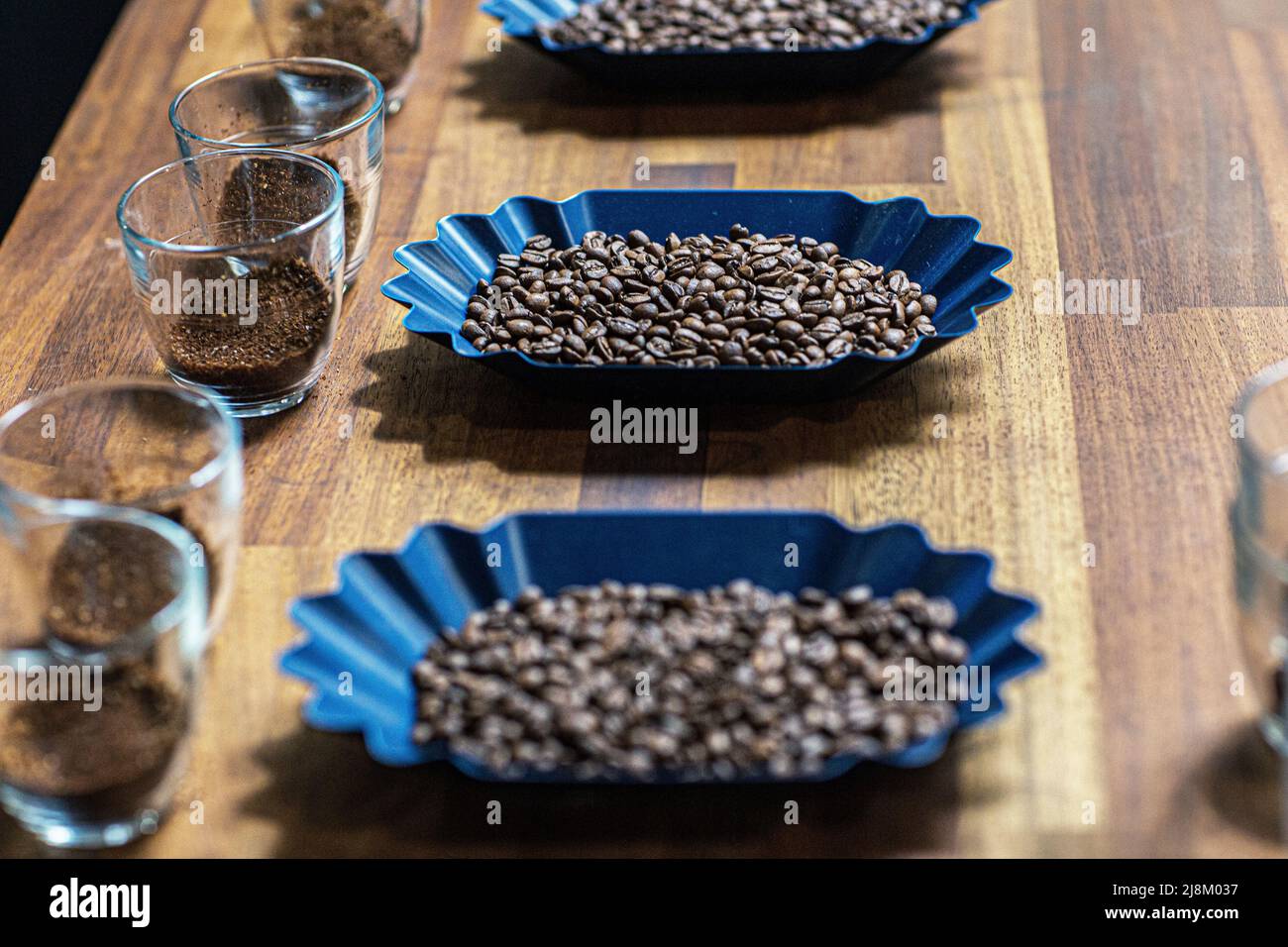 Récipients avec grains de café en préparation pour une dégustation de café. Banque D'Images