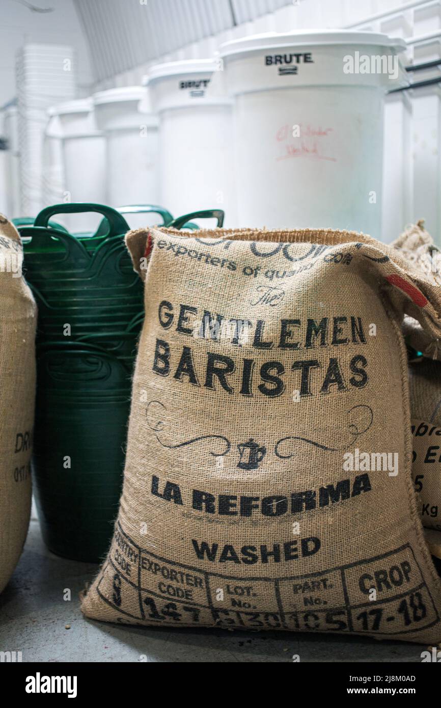 Grains de café verts dans le sac en toile Banque D'Images