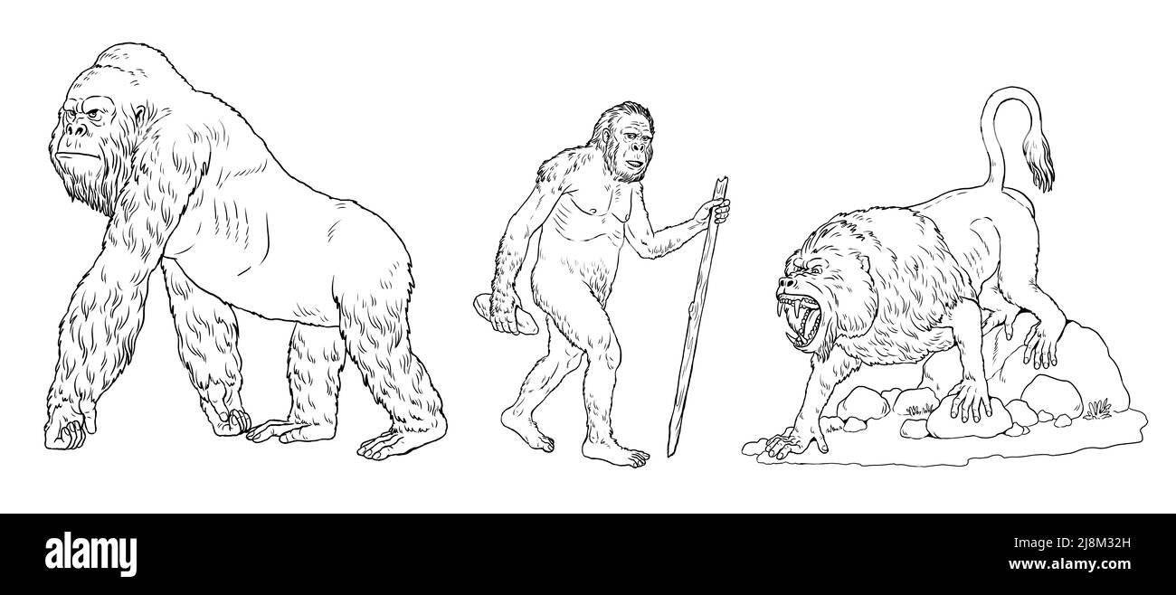 Primates préhistoriques gigantopithecus, dinopithecus et australopithecus. Ancêtres des humains pour le livre de coloriage. Banque D'Images Primates préhistoriques gigantopithecus, dinopithecus et australopithecus. Ancêtres des humains pour le livre de coloriage. Banque D'Images