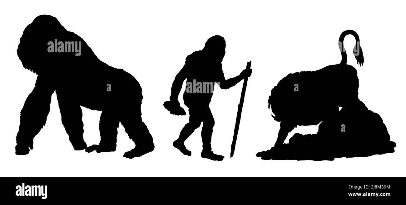 Primates préhistoriques gigantopithecus, dinopitheus et australopithecus. Silhouette des ancêtres des humains. Banque D'Images