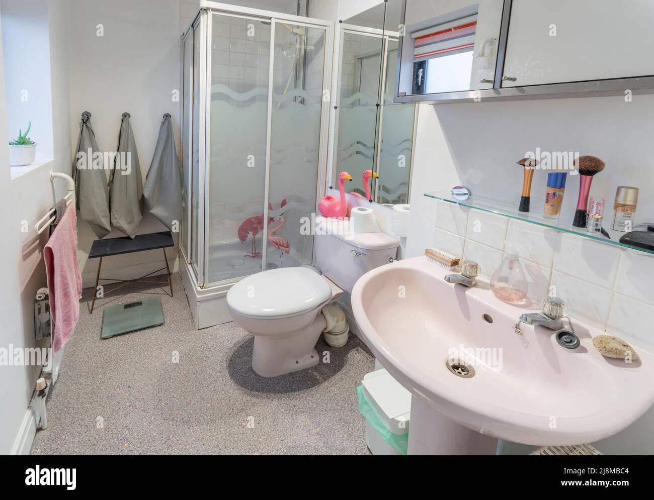 salle de bains des années 1980 avec cabine de douche d'angle, verre translucide à motifs, toilettes roses couplées et lavabo sur pied. Banque D'Images