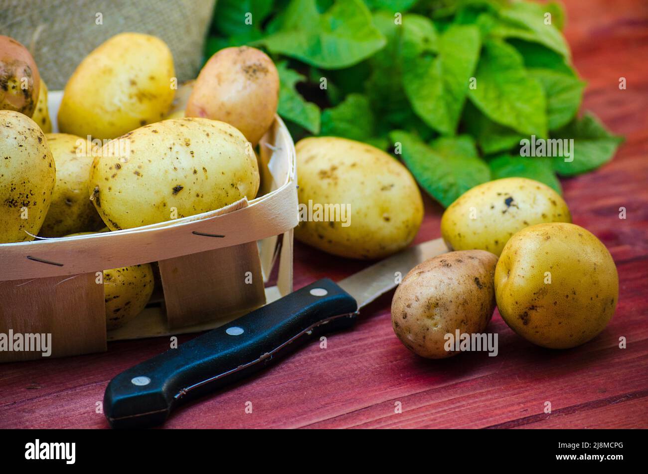 des pommes de terre crues sur une table en bois Banque D'Images