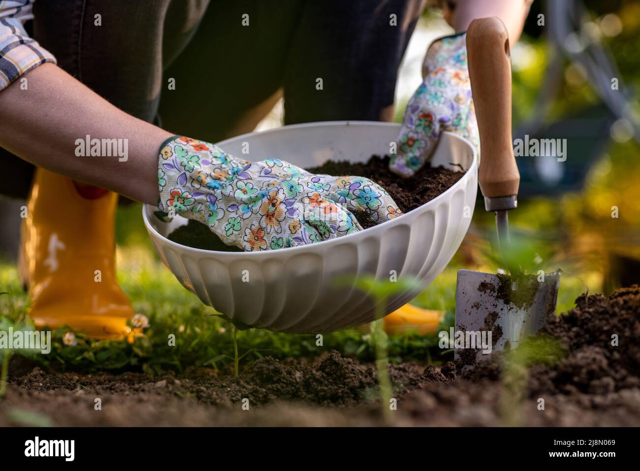 Jardinage écologique. Femme améliorant le sol du lit de jardin pour la plantation, fertilisant avec du compost. Amendement du sol en matière organique. Banque D'Images