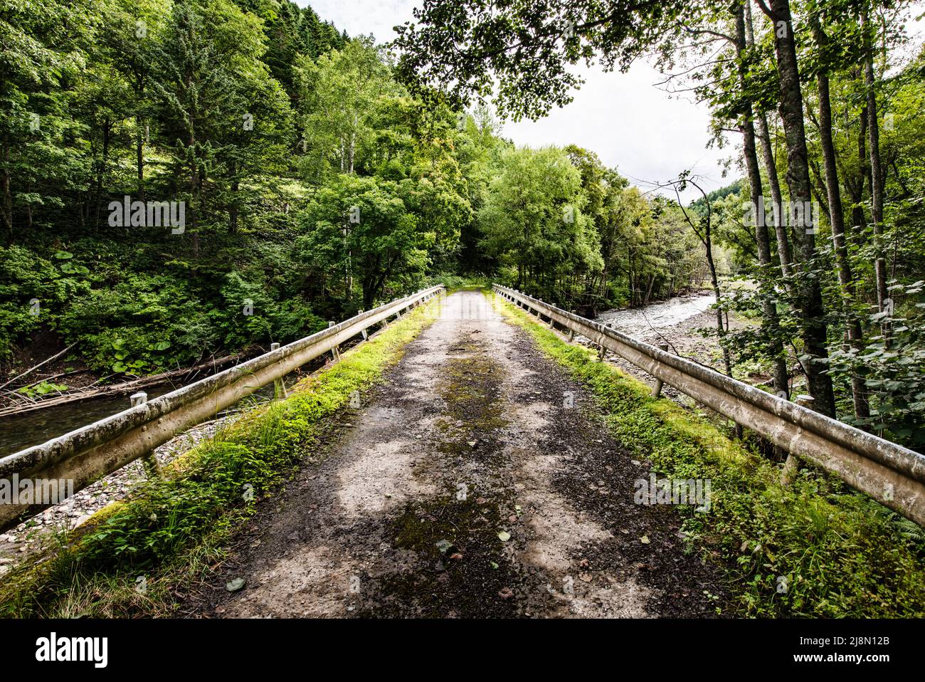 Ancienne route abandonnée, parc national de Daisetsuzan, Kamikawa, Hokkaidō, Hokkaido, Japon, Asie Banque D'Images