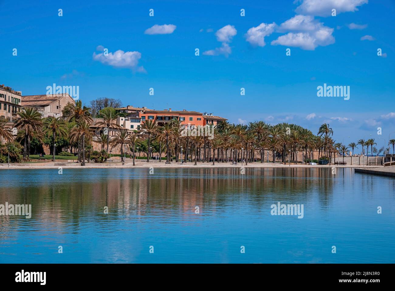 Palmiers poussant au bord du canal par des bâtiments dans le ciel bleu de la vieille ville Banque D'Images