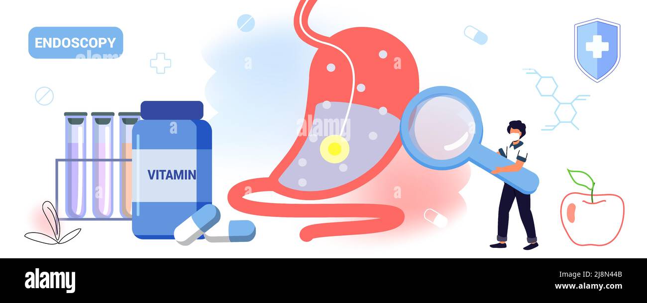 Endoscopie technologie de soins de santé concept vecteur illustration gastro-entérologie système gastrique et digestif maladies des organes internes médicaux soins de santé Illustration de Vecteur