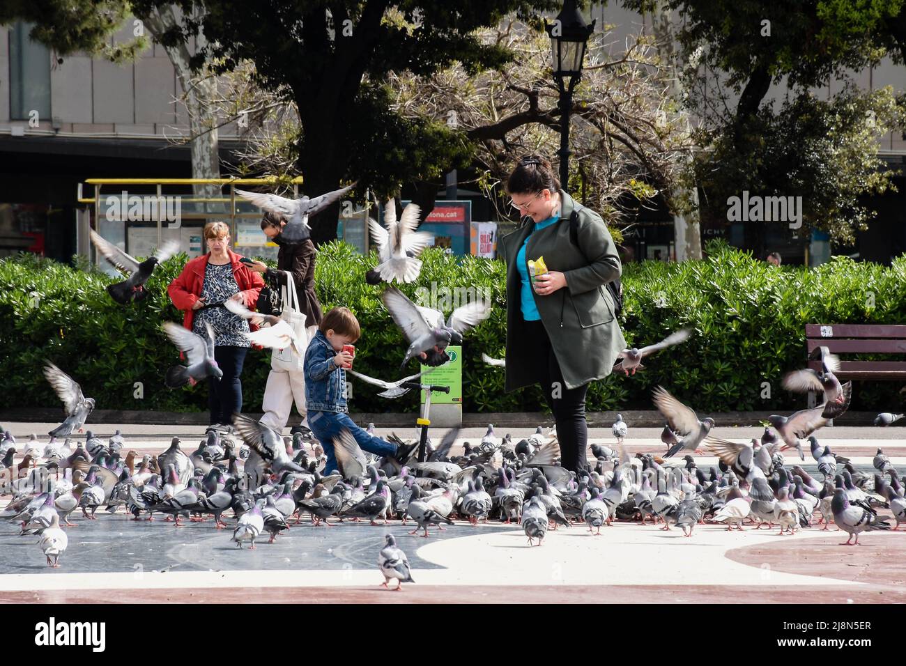 Une mère et son fils nourrissant les pigeons et jouant. Banque D'Images