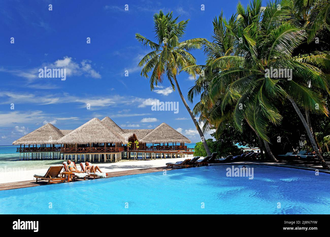 Les gens se détendant à la piscine, l'île de Medhufushi, l'atoll de Meemu, les Maldives, l'océan Indien, Asie Banque D'Images