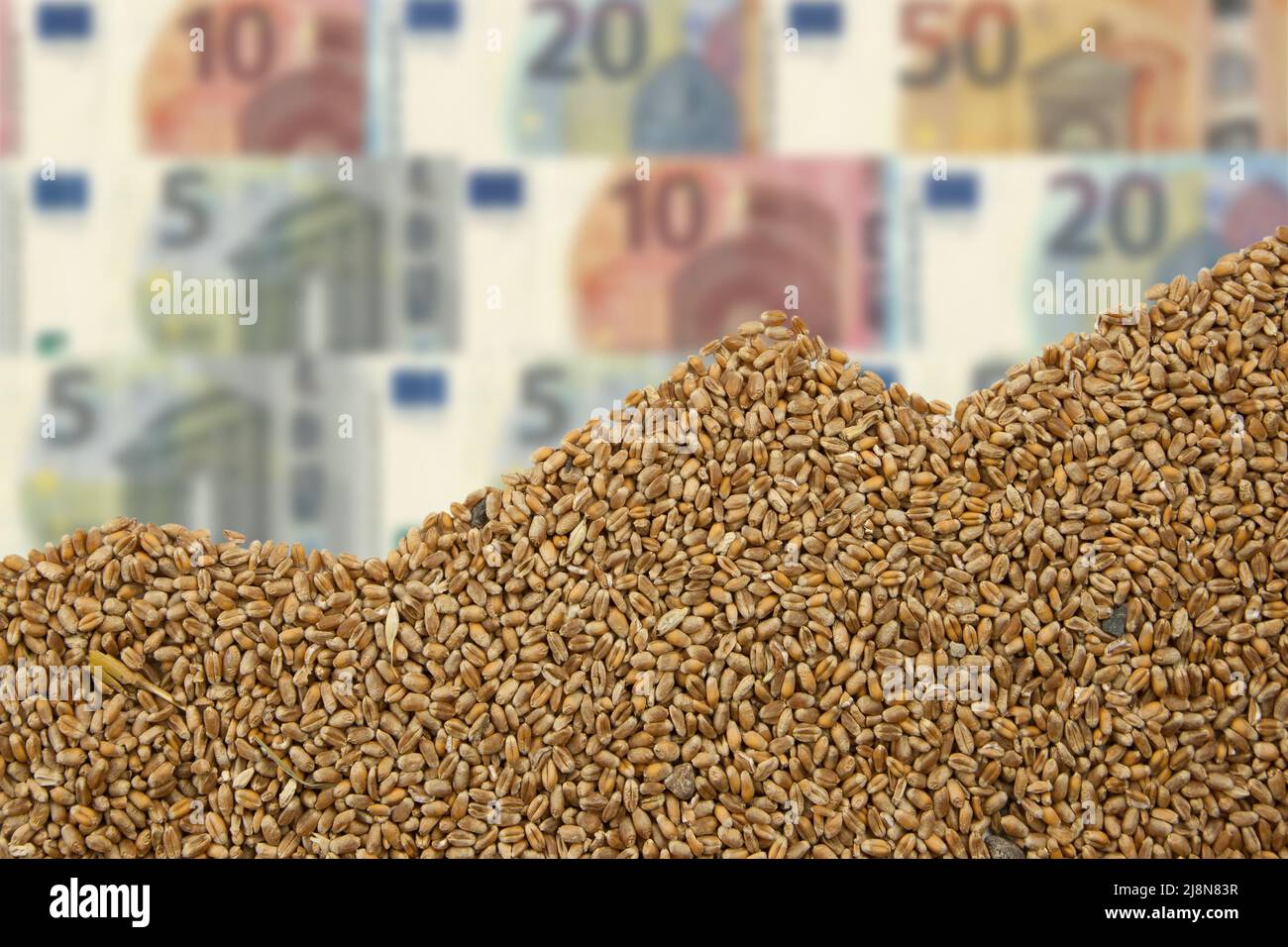 Tableau des céréales et factures d'euro.le changement climatique chauffe les prix des céréales. Banque D'Images