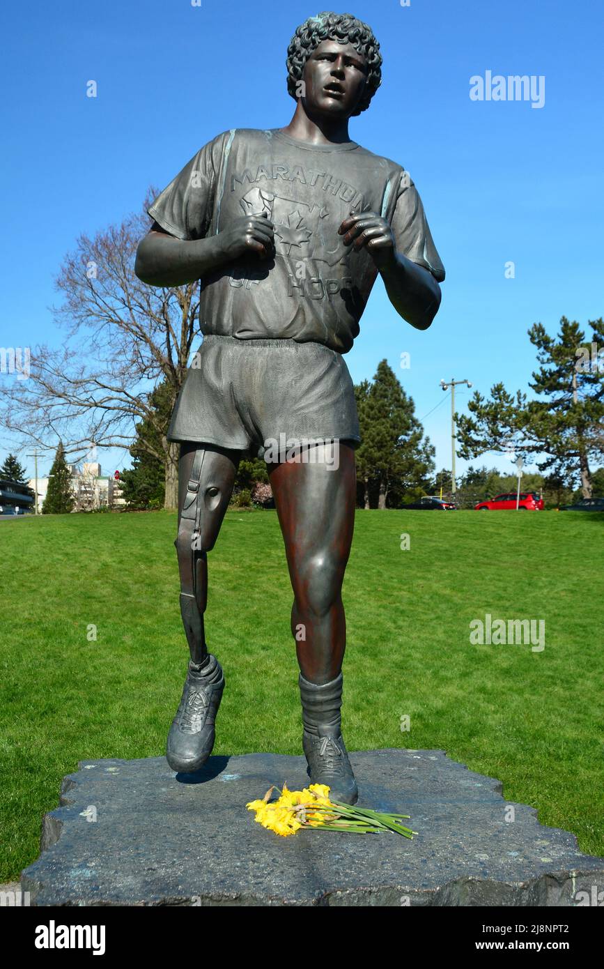 Le héros du Canada, la statue de Terry Fox à Victoria, C.-B., Canada Banque D'Images