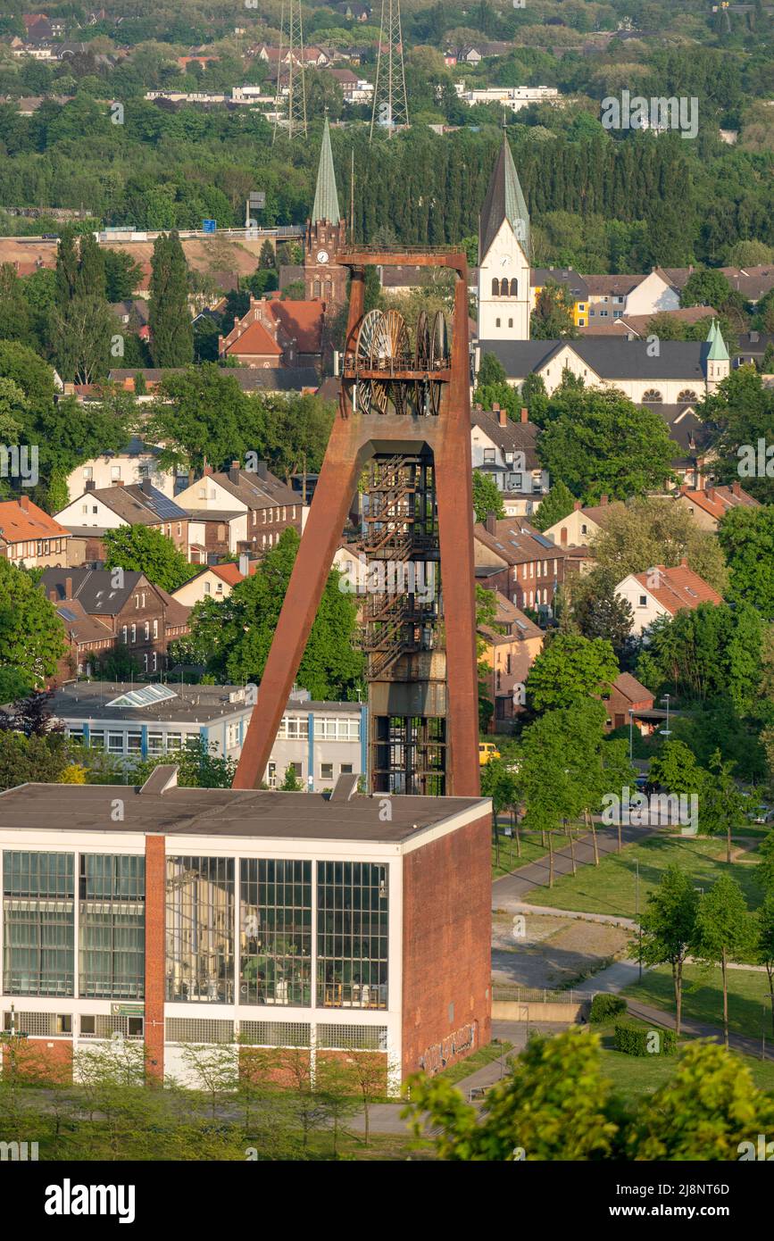 Immobilier à la campagne, maisons mitoyennes, immeubles d'appartements, parties de l'ancien domaine minier à Recklinghausen-Hochlarmark, tour sinueuse de Banque D'Images