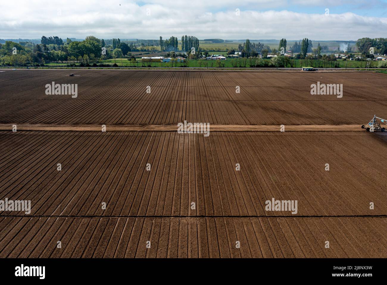 Vue aérienne de dessus d'un autre champ agricole. Tir de drone. Banque D'Images