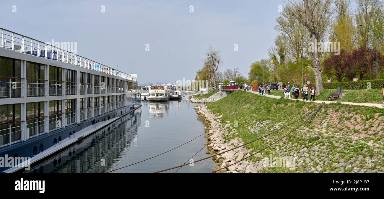 Breisach, Allemagne - avril 2022 : vue panoramique des touristes marchant le long d'un sentier à Breisach, sur le Rhin, à bord de leur bateau de croisière Banque D'Images