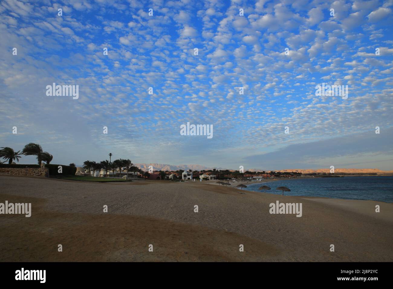 plage de mer vide avec palmiers, ciel bleu ciel nuageux Banque D'Images