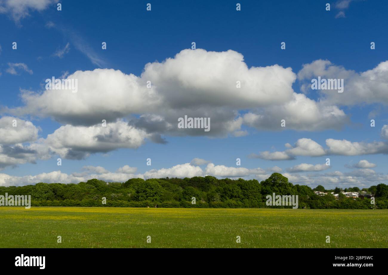 Vue sur le lac dans le Stevenage Hertfordshire Banque D'Images