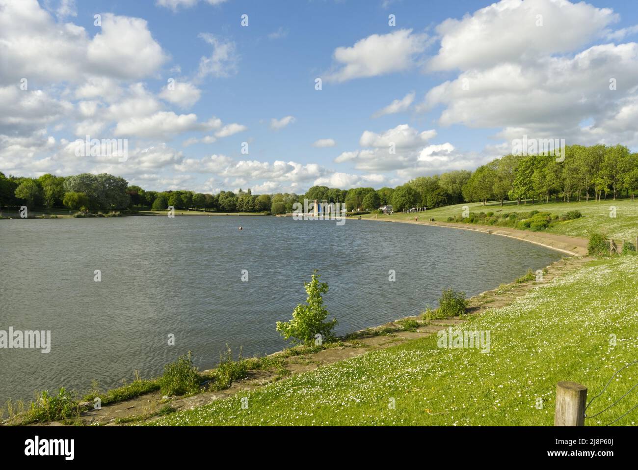 Vue sur le lac dans le Stevenage Hertfordshire Banque D'Images