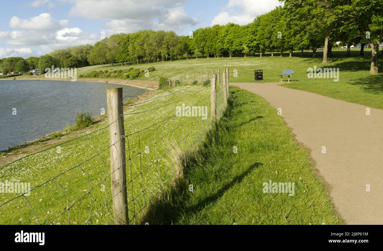 Vue sur le lac dans le Stevenage Hertfordshire Banque D'Images
