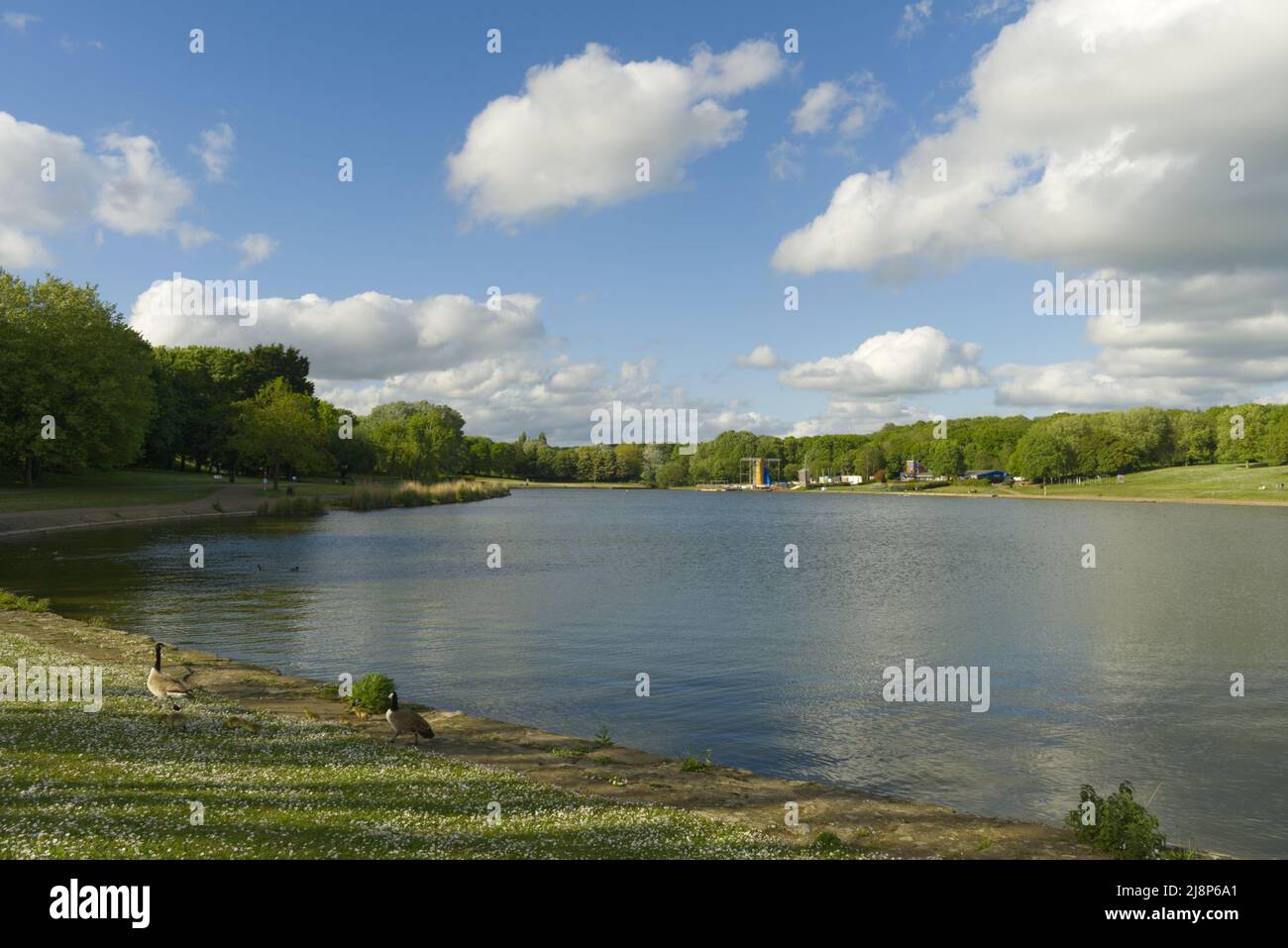 Vue sur le lac dans le Stevenage Hertfordshire Banque D'Images