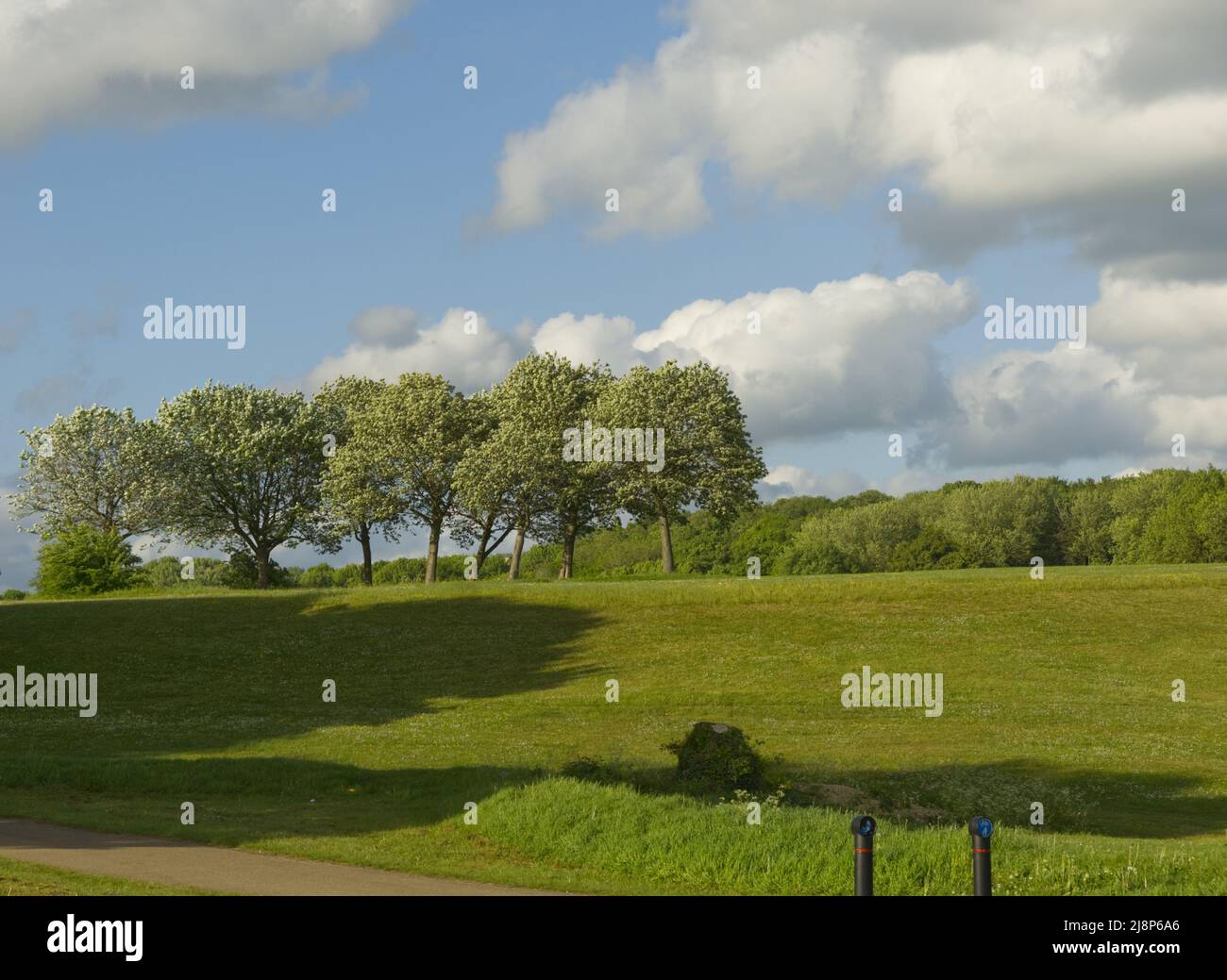 Vue sur le lac dans le Stevenage Hertfordshire Banque D'Images