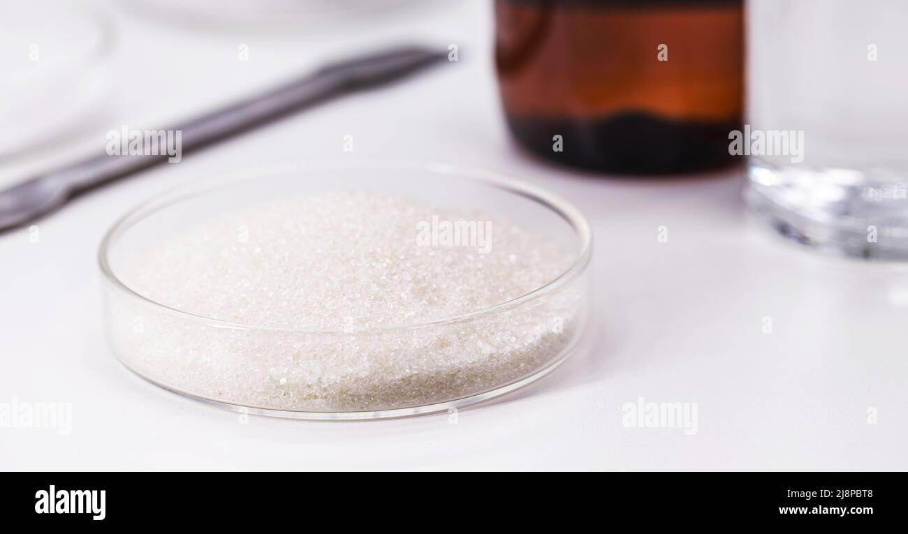 cristaux d'acide acétylsalicylique dans la boîte de petri, composant chimique utilisé pour préparer des comprimés d'acide acétylsalicylique ou d'aspirine Banque D'Images