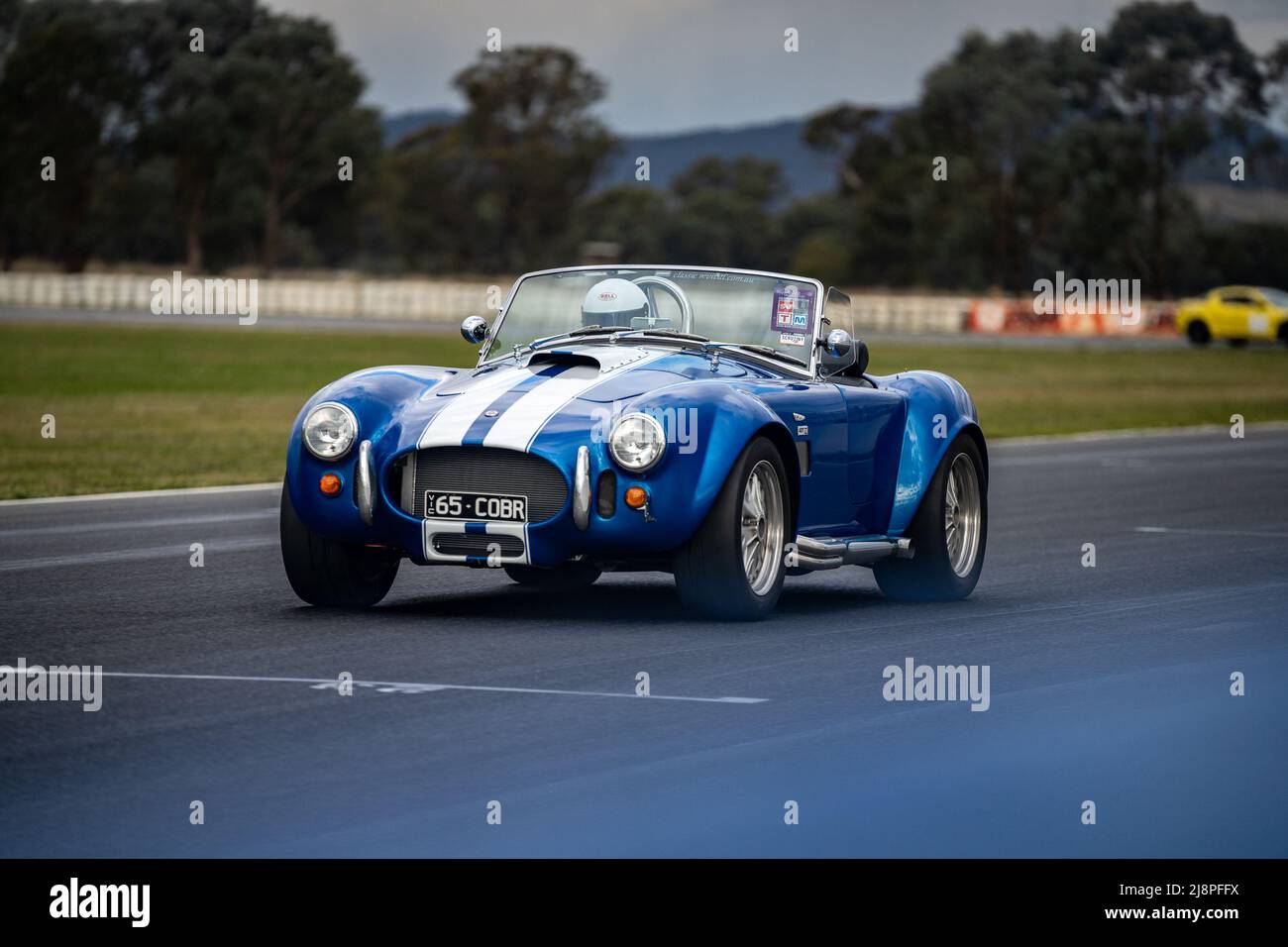 Un 1965 Shelby Cobra bleu faisant des tours pendant une journée d'essai privée au circuit automobile de Winton. Banque D'Images