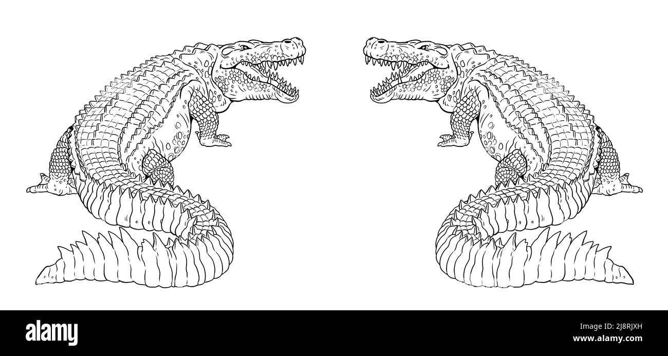 Alligator préhistorique éteint - Deinosuchus. Un terrible crocodile. Dessin avec des reptiles prédateurs éteints. Banque D'Images