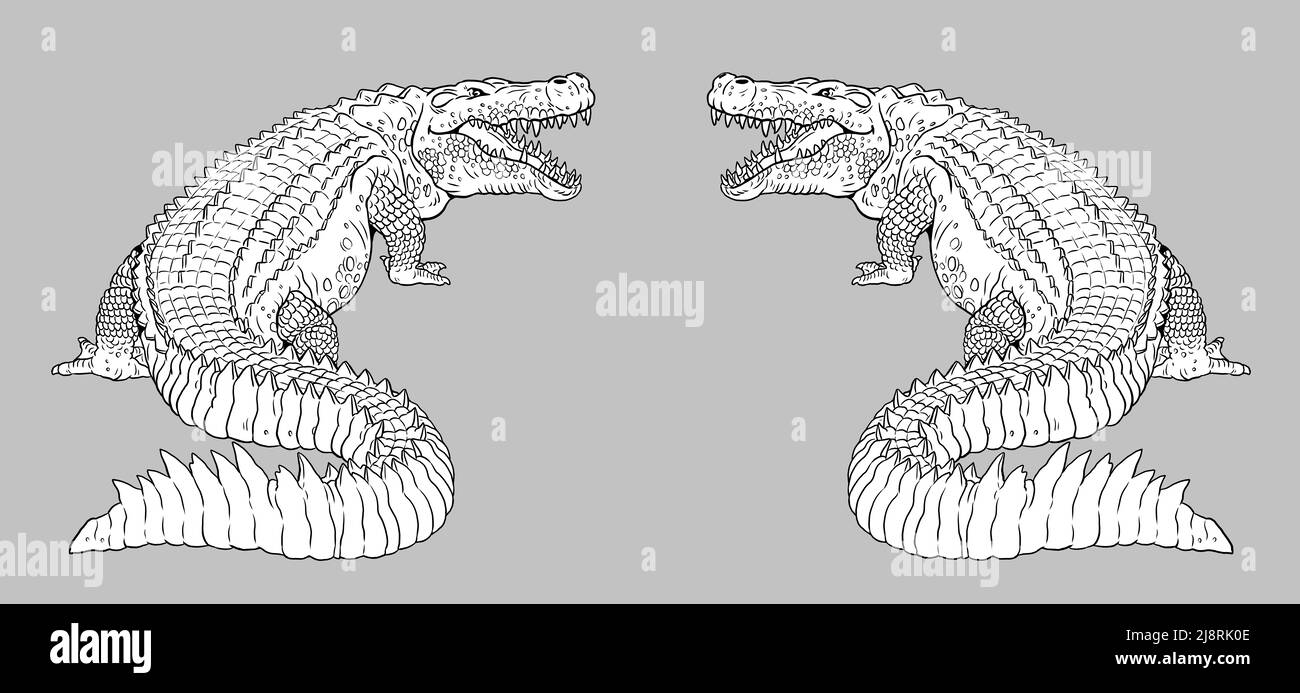 Alligator préhistorique éteint - Deinosuchus. Un terrible crocodile. Dessin avec des reptiles prédateurs éteints. Banque D'Images