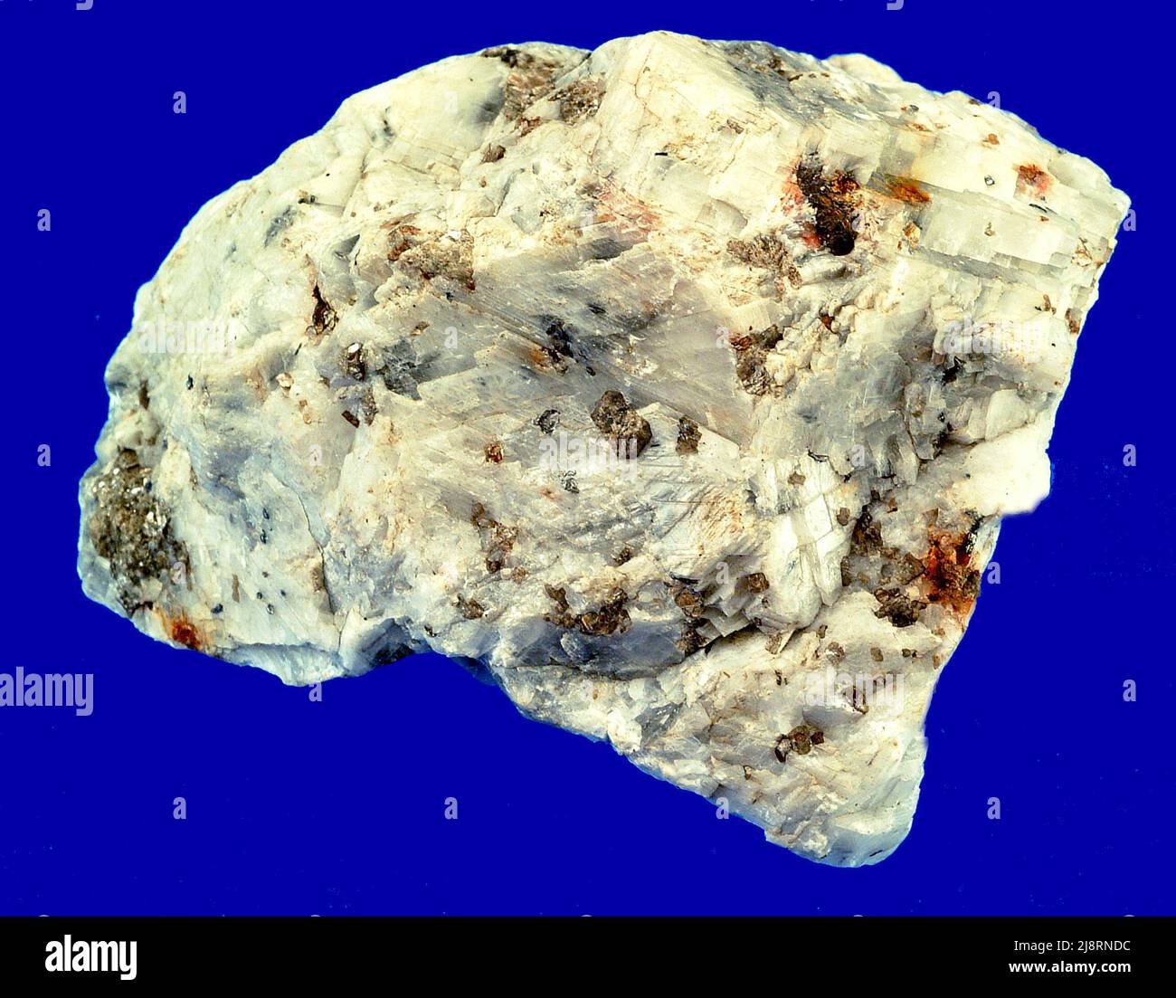 Marbre Chondrodite portant de Franklin, New Jersey, États-Unis. La majeure partie de cet échantillon est la calcite blanche, CaCO3. Le minéral brun clair à gris est la chondrodite, (mg,Fe)5(SiO4)2(F,OH)2, mais la chondrodite a habituellement une couleur plus jaunâtre. La Chondrodite appartient au groupe de l'humite et est étroitement liée à l'olivine. Sont également présents graphite et une mica blanche, mais ils ne peuvent être vus que dans la photo de la plus haute résolution. Cet échantillon mesure environ 10 cm de large. Banque D'Images