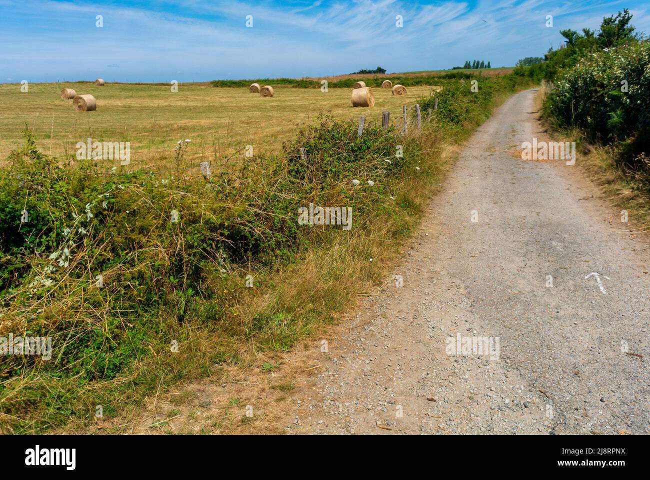 Ile d'Arz, France, Bretagne, vue sur le paysage, route de campagne, Sur le « Golf de Morbihan » Banque D'Images